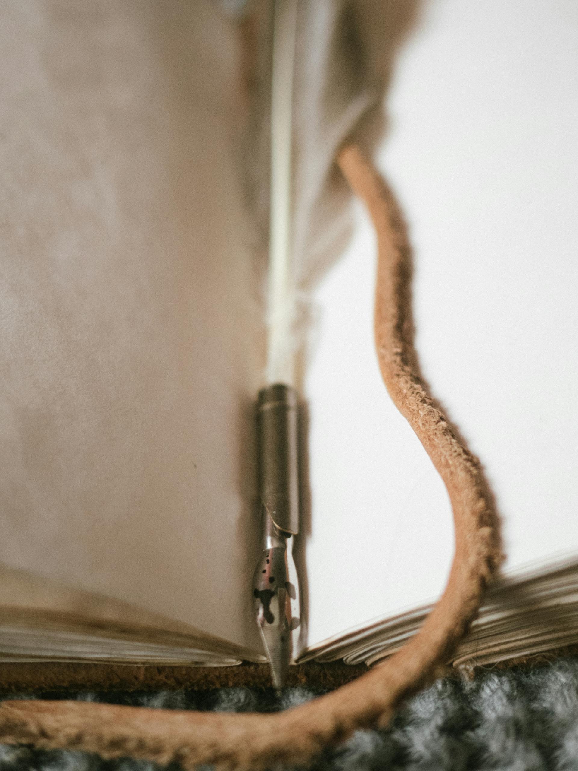 A vintage quill pen resting on an open journal, creating a nostalgic writing scene.